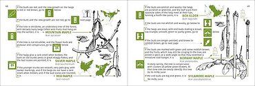 Winter Tree Finder