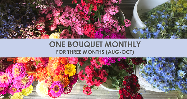 One Bouquet Per Month - Local Blooms
