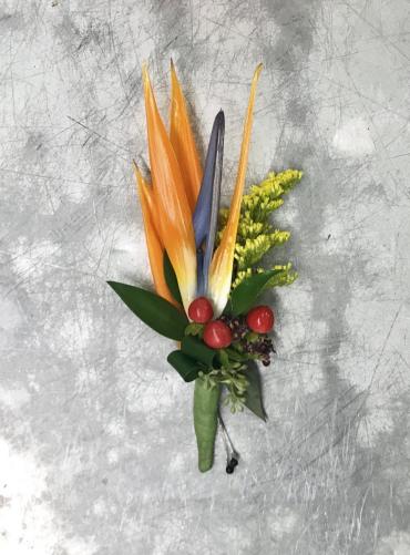 Bird of Paradise Boutonniere