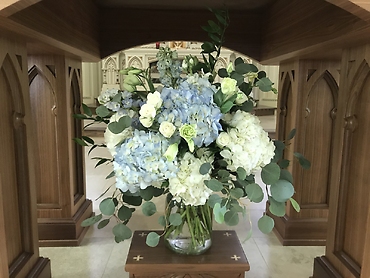 Cool Blue Hydrangeas