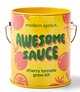 Modern Sprout- Cherry Tomato Grow Kit