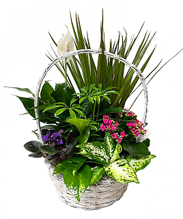 European Garden Basket - Large