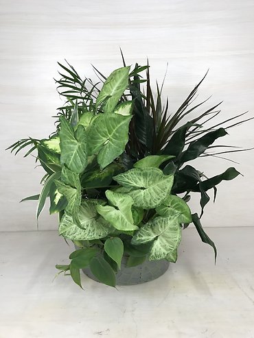Rustic Dish Garden - Medium