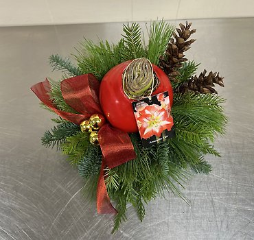 Amaryllis Centerpiece