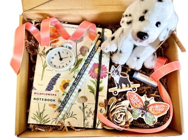 Back to School (Kids\') Gift Package