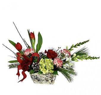 Yuletide Bloom