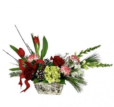 Yuletide Blooms