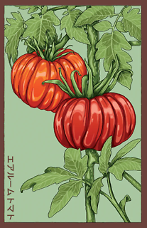 Seeds | Heirloom Tomato