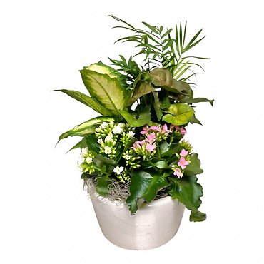 European Garden in Ceramic - Small