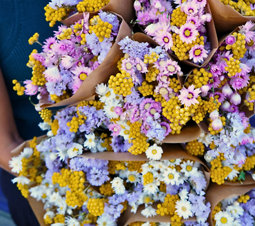 Dried Bouquet | Dutch Market Mix