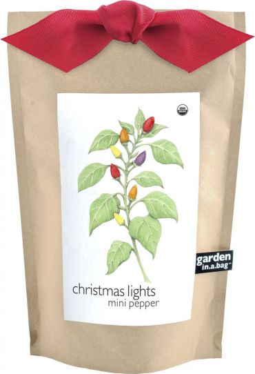 Garden in a Bag | Christmas Lights Mini Pepper