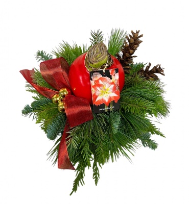 Amaryllis Centerpiece
