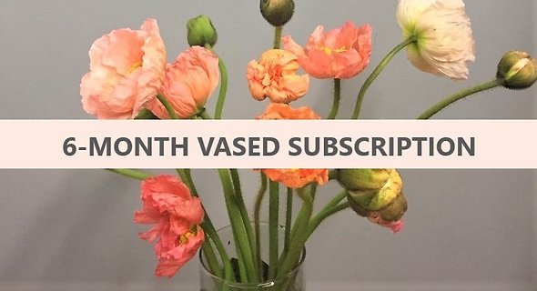 6-Month Vased Floral Subscription