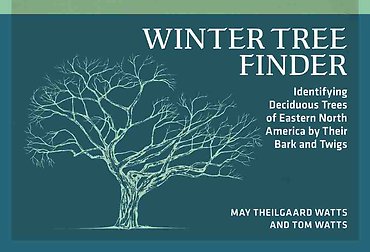 Winter Tree Finder