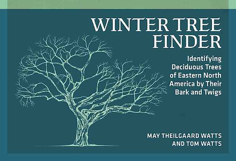 Winter Tree Finder