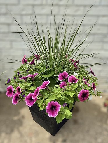 14\" Flowering Patio Planter | Purples & Whites