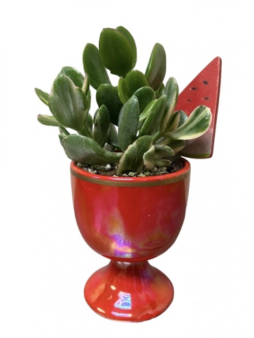 Watermelon Sugar