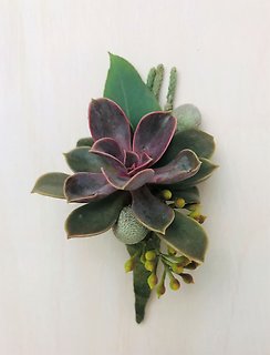 Succulent Boutonniere