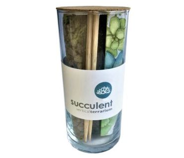 Succulent Terrarium Kit