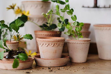Kobenhavner Pot- Low  | 9.8\" (25 cm W)