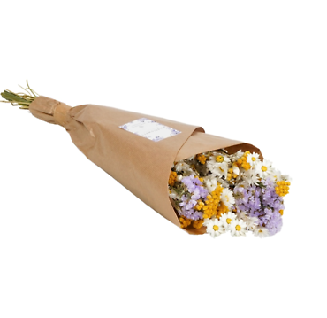Dried Bouquet | Dutch Market Mix