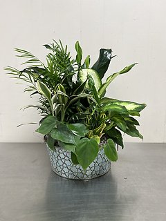 Rustic Dish Garden - Medium
