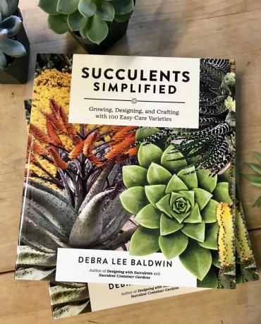Succulents Simplified Book