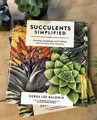 Succulents Simplified Book