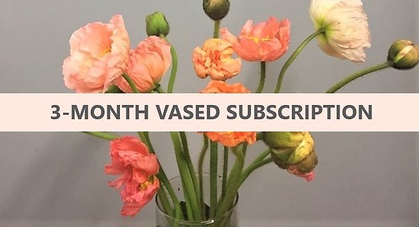 3-Month Vased Floral Subscription