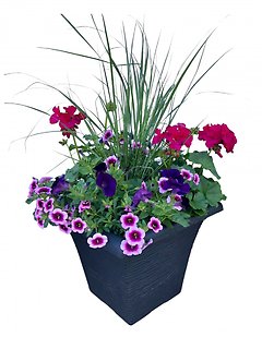 14\" Flowering Patio Planter | Pinks, Purples, Blues
