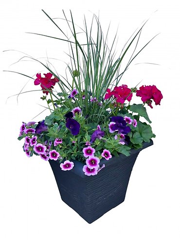 14\" Flowering Patio Planter | Pinks, Purples, Blues