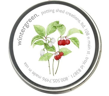 Seeds l Wintergreen