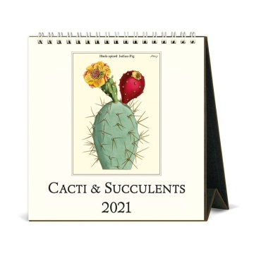 2022 Calendar | Cacti & Succulents