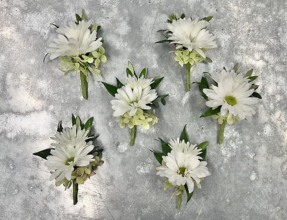 Daisy Boutonnieres