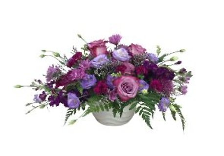 Purple Pleasures