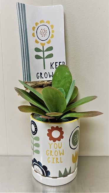 Keep Growing Succulent