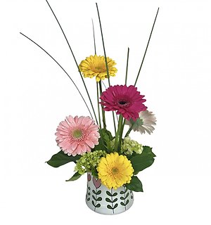 For the Love of Gerbs