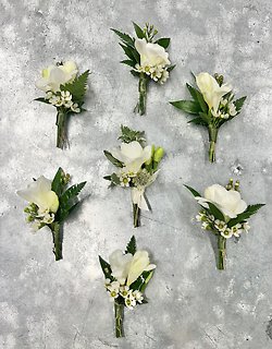 White Freesia Boutonnieres