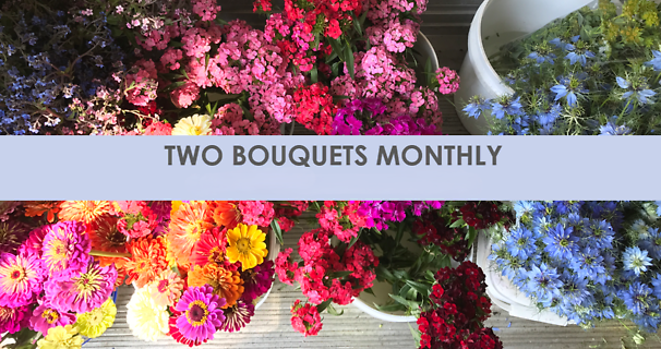 Two Bouquets Per Month - Local Blooms