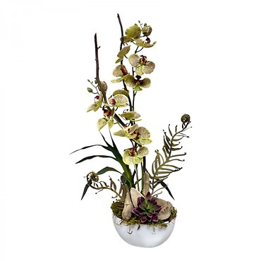 Silk Orchid Garden