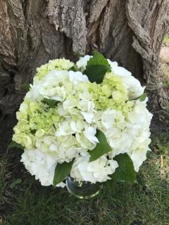 White Hydrangea Bridal Bouquet