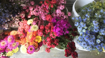 2024 Local Blooms Subscription (May - Oct)