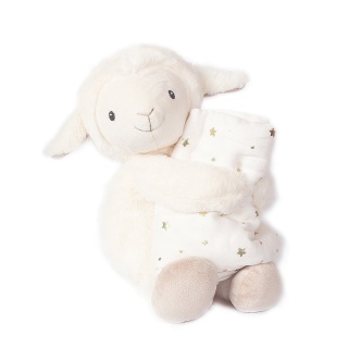 Lamb Plush And Muslin Blanket