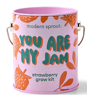 Modern Sprout- Strawberry Grow Kit