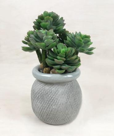 Stylish Faux Succulent