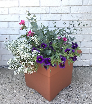 Flowering Patio Pot