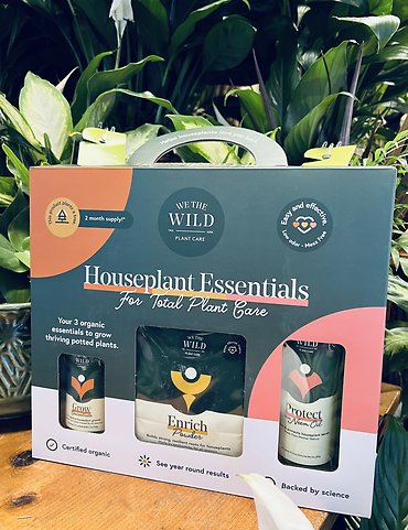 Houseplant Essentials Care Kit