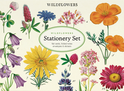 Stationery Set - Wildflowers