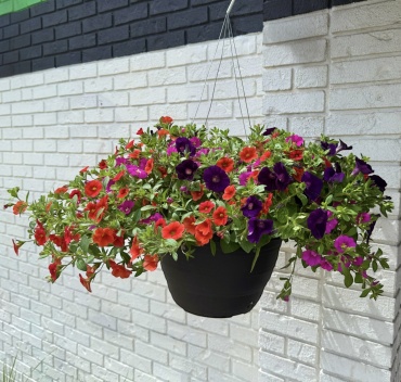 13\" Hanging Flower Basket | Oranges, Pinks & Purples