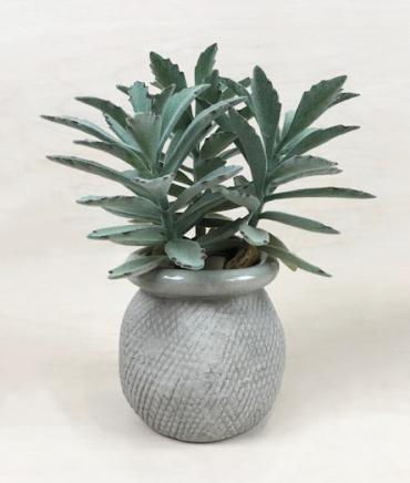 Charming Faux Succulent